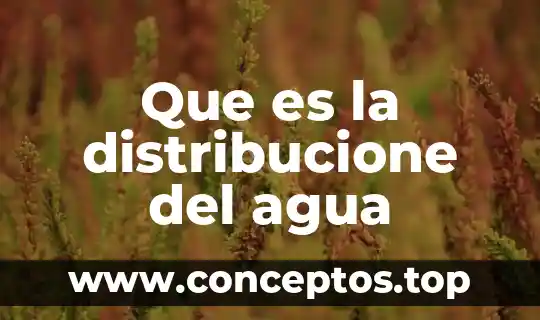 Que es la distribucione del agua