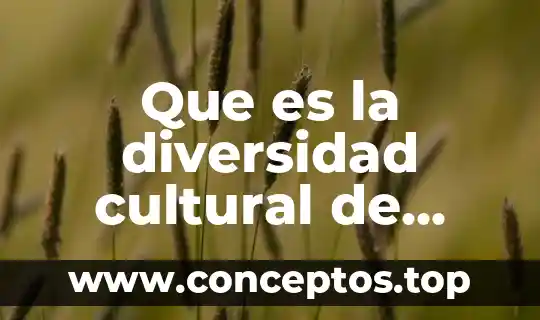 Que es el proyecto tuning latino america 6 Que es la diversidad cultural de america latina