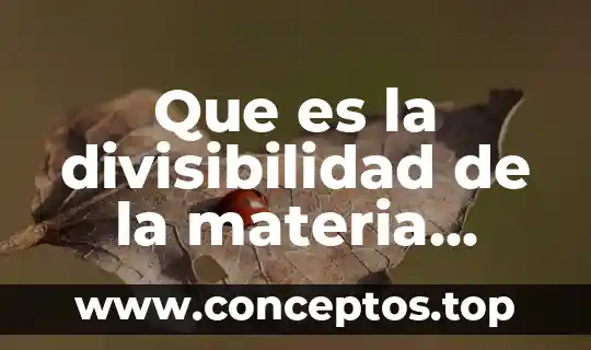 Que es la divisibilidad de la materia ejemplos