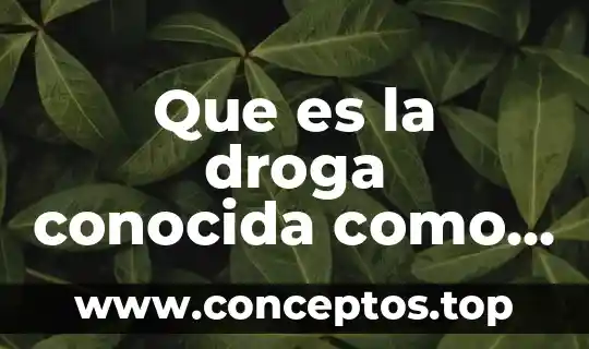 Por que es conocida el polite 5 Que es la droga conocida como chochos