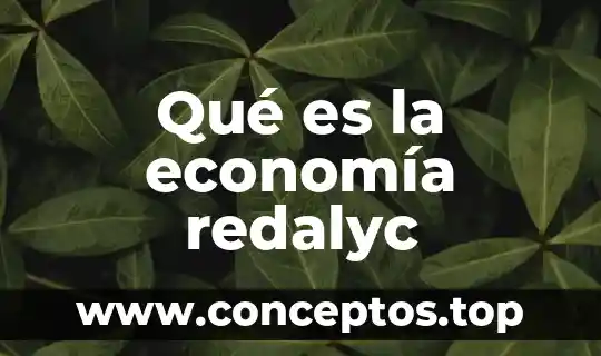 Qué es la igualdad en economía 8 Qué es la economía redalyc