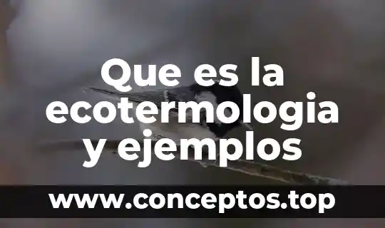 Que es la ecotermologia y ejemplos