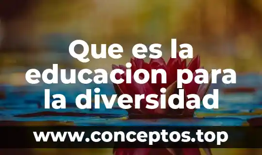 Que es la diversidad cultural definición 4 Que es la educacion para la diversidad