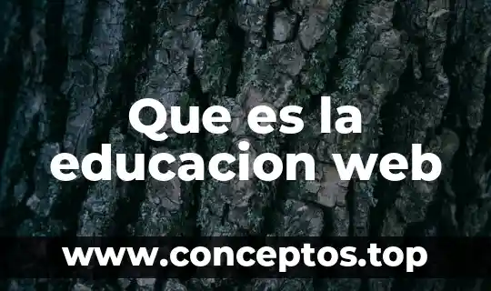 Que es el paradigma positivista en educacion 6 Que es la educacion web