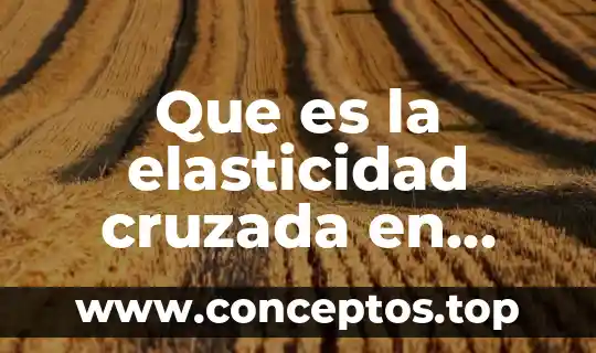 Que es elasticidad en economia con variantes 3 Que es la elasticidad cruzada en economia