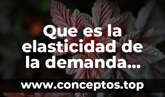 Que es elasticidad en economia con variantes 4 Que es la elasticidad de la demanda segun samuelson