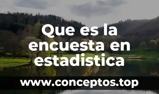 Que es la encuesta en estadistica
