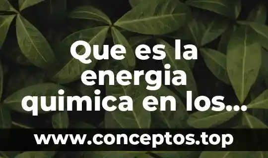 Que es la energia quimica en los alimentos