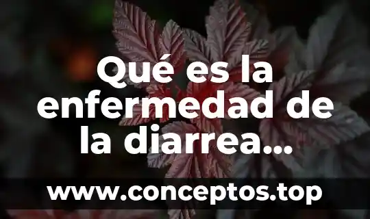 Qué es la enfermedad de la diarrea aguda