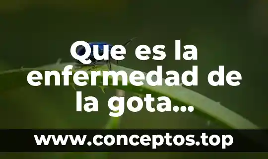 Qué es la enfermedad gota y cuáles son los síntomas 7 Que es la enfermedad de la gota sintomas