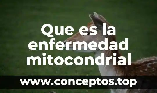Oculto lo que como enfermedad o que es 8 Que es la enfermedad mitocondrial