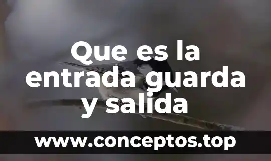 Que es la entrada guarda y salida