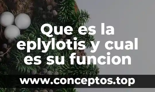 Que es la eplylotis y cual es su funcion