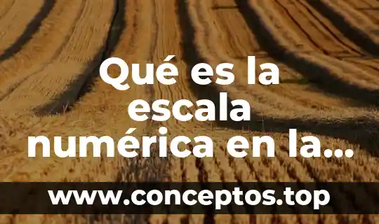 Qué es la escala numérica en la geografía