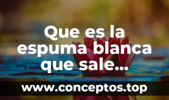 Que es obra negra gris y blanca 8 Que es la espuma blanca que sale cuando coces pollo