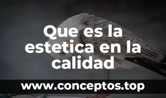 Que es la calidad según latinoamerica 5 Que es la estetica en la calidad