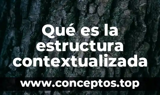 Qué es la estructura contextualizada