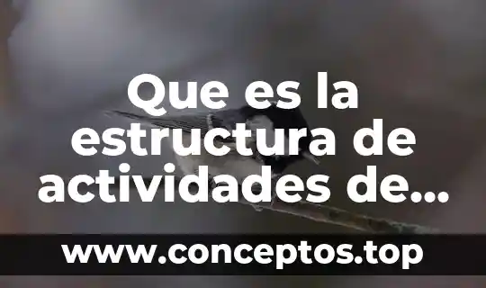 Que es la estructura de actividades de supervision