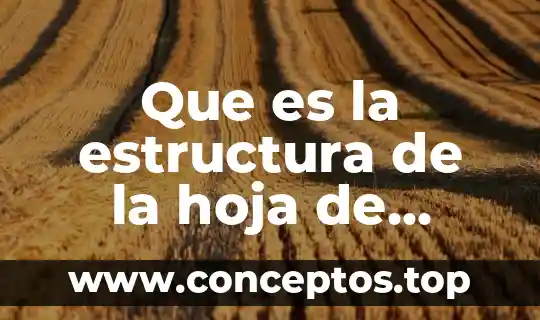 Que es la estructura de la hoja de calculo