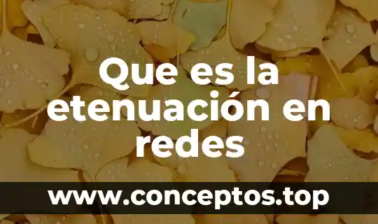 Que es la etenuación en redes