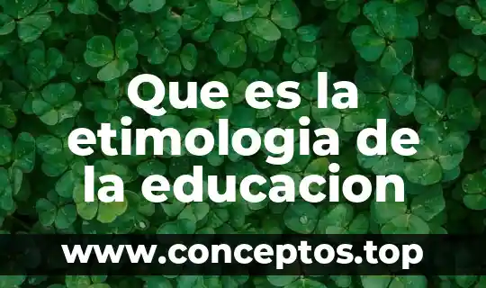 Investigar qué es la etimología grecolatina 5 Que es la etimologia de la educacion