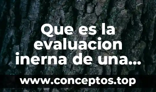 Que es una carrera profesional segun autores 3 Que es la evaluacion inerna de una carrera
