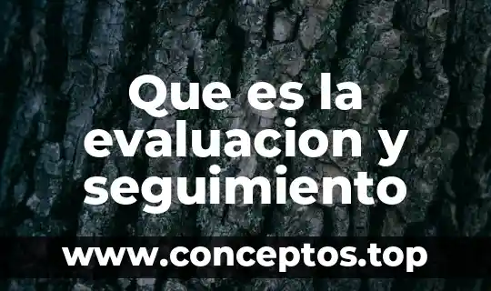 Que es la evaluacion y seguimiento