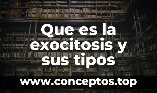 Que es la exocitosis y sus tipos