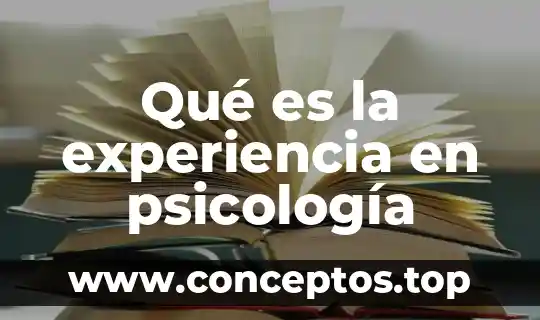 Que es la psicologia del color y que estudia 8 Qué es la experiencia en psicología