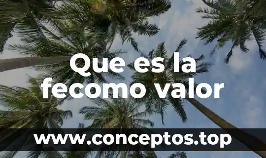 Que es la fecomo valor
