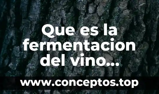 Que es la fermentacion del vino articulos