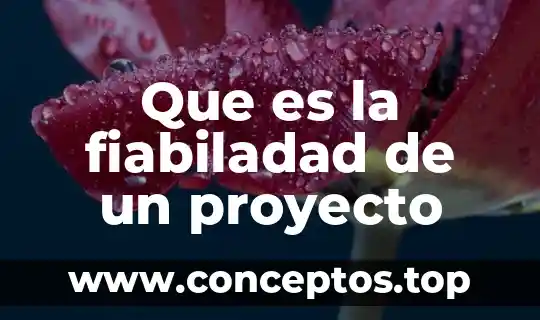 Que es nombre del proyecto 5 Que es la fiabiladad de un proyecto