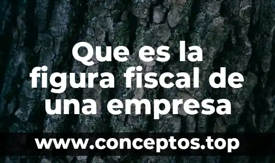 Que es la unidad de una empresa 4 Que es la figura fiscal de una empresa