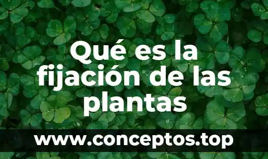 Qué es la fijación de las plantas