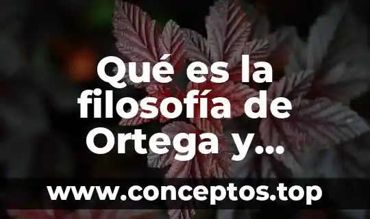 Qué es la filosofía de Ortega y Gasset
