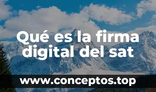 Que es la firma como persona fisica 3 Qué es la firma digital del sat
