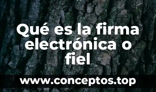 Solicitud y contrato de firma en línea que es 3 Qué es la firma electrónica o fiel