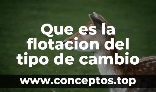 Que es la flotacion del tipo de cambio