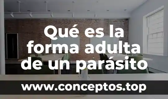 Qué es la forma adulta de un parásito