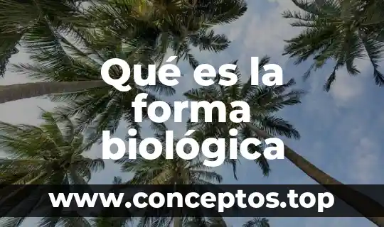 Que es una funcion biologica del agua 5 Qué es la forma biológica