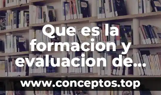 Qué es la conclusión del método científico 8 Que es la formacion y evaluacion de competencias