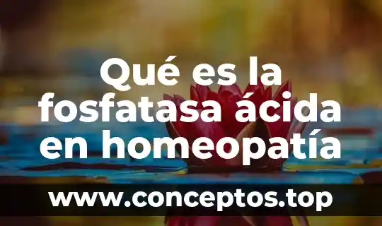 Que es de actividad en la sangre 4 Qué es la fosfatasa ácida en homeopatía