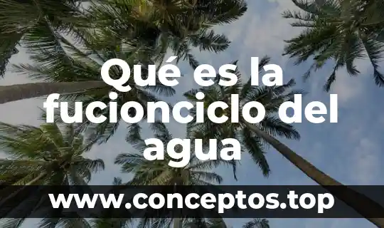 Qué es la fucionciclo del agua