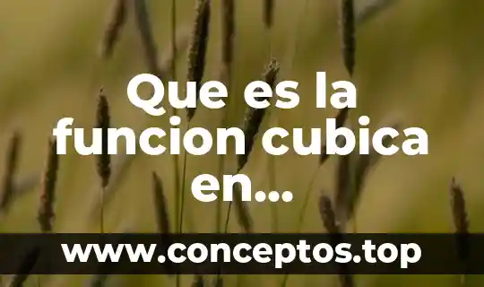 Que es la funcion de un compuesto 8 Que es la funcion cubica en matematicas