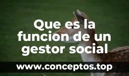 Que es una figura de autoridad y que funcion tiene 5 Que es la funcion de un gestor social