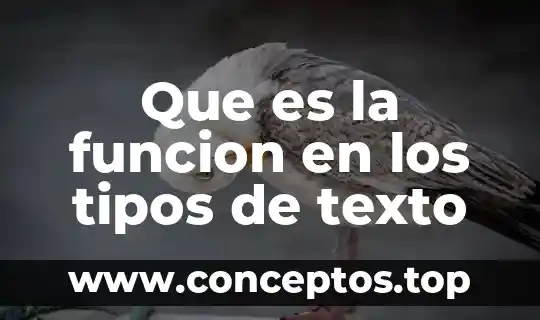 Que es la funcion en los tipos de texto