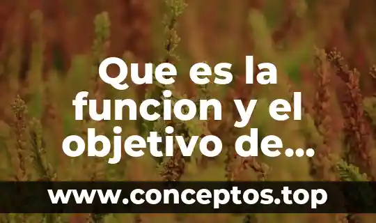 Que es la funcion y el objetivo de seleccionar personal