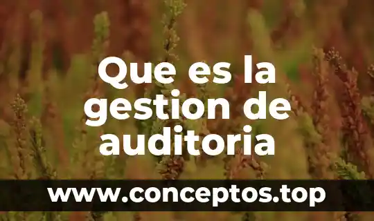 Que es un plan de gestion 5 Que es la gestion de auditoria