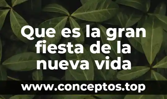 Que es la gran fiesta de la nueva vida