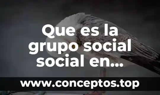 Que es la grupo social social en mexico